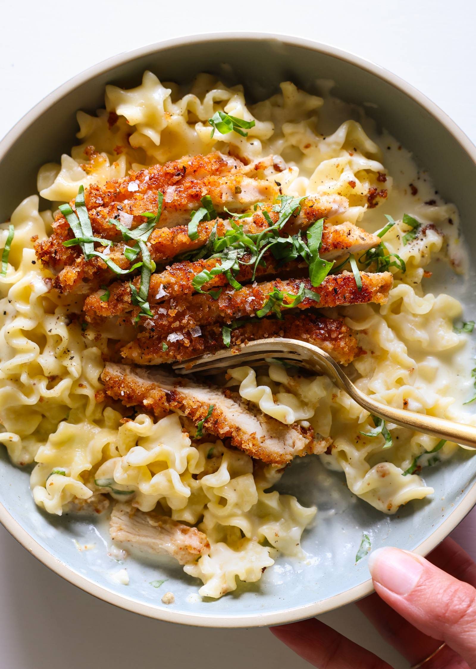 Creamy lemon pasta with chicken cutlet on top.