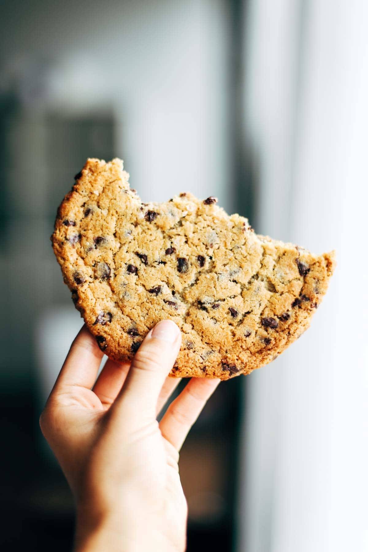 Tasty Food Photography Workshop | pinchofyum.com